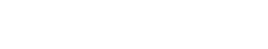 Mitsify Web Development LLP